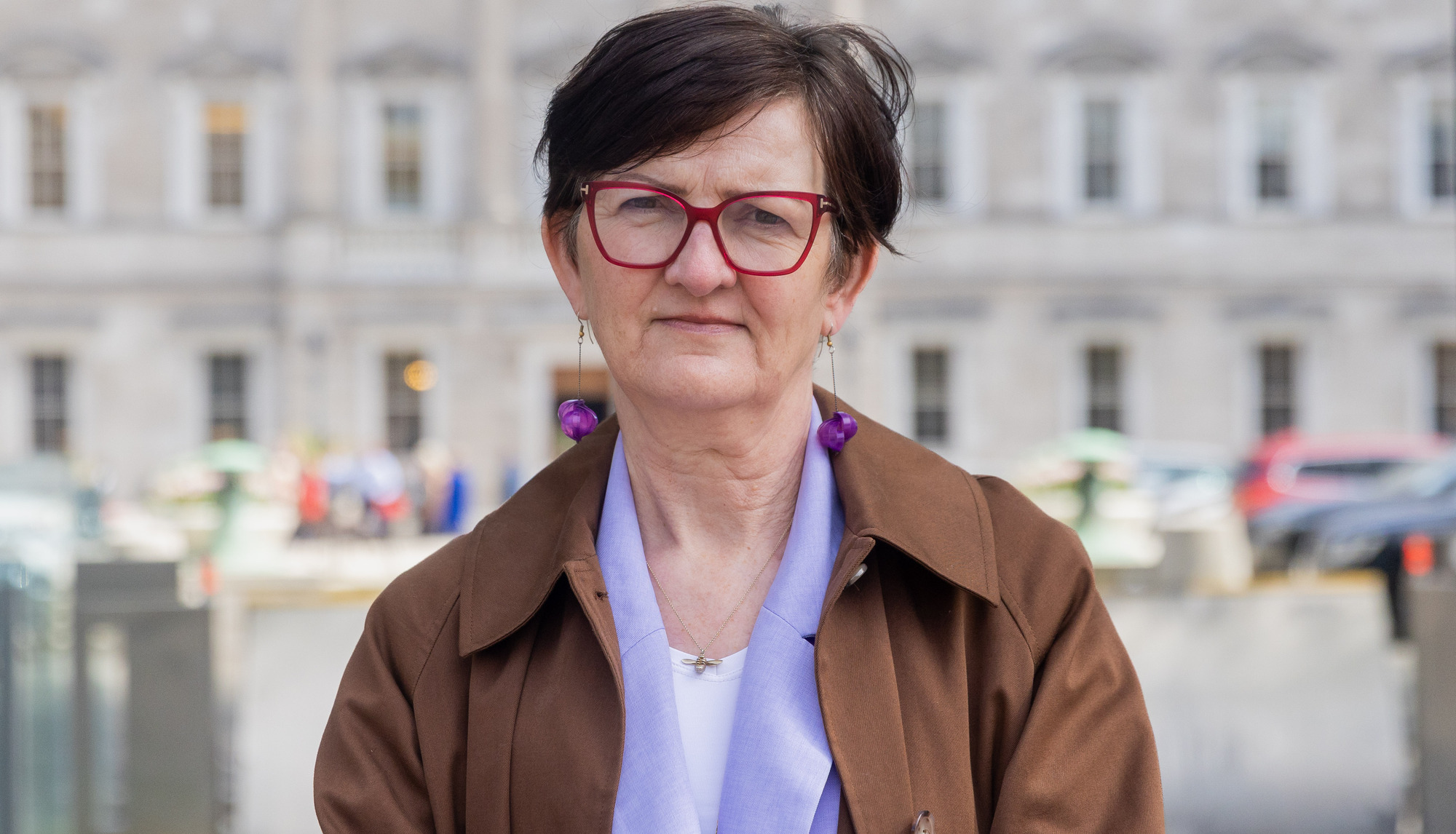Campaigner Brenda O'Connell at Leinster House last week. Picture: Gareth Chaney