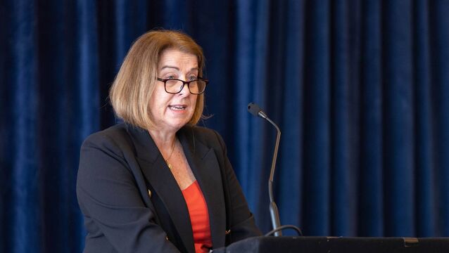 <p>HSE CEO Anne O’Connor has confirmed that the agency has launched a review of all financial, contractual, and governance records related to Autism Initiatives Ireland (AII).  Picture: Shane O'Neill/Coalesce</p>