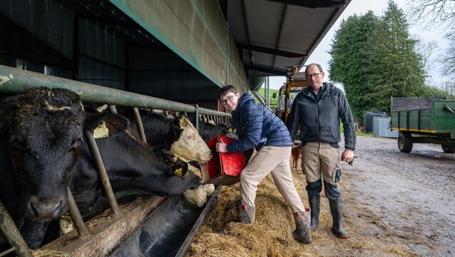 <p>Dylon feeds the cattle as his father Denis Hickey looks on at their dairy beef farm just outside Midleton in Co Cork. Picture Chani Anderson</p>