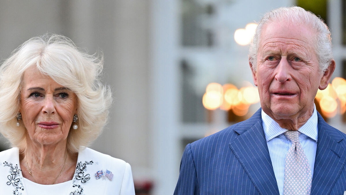 Britain's King Charles chats about knitting with diving star Tom Daley during US state visit