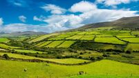Rural Landscape With Pastures In Ireland