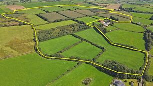 <p>The 104-acre farm at Lisnagat is partly in grass and partly in tillage in a convenient location 9km from Bandon.</p>