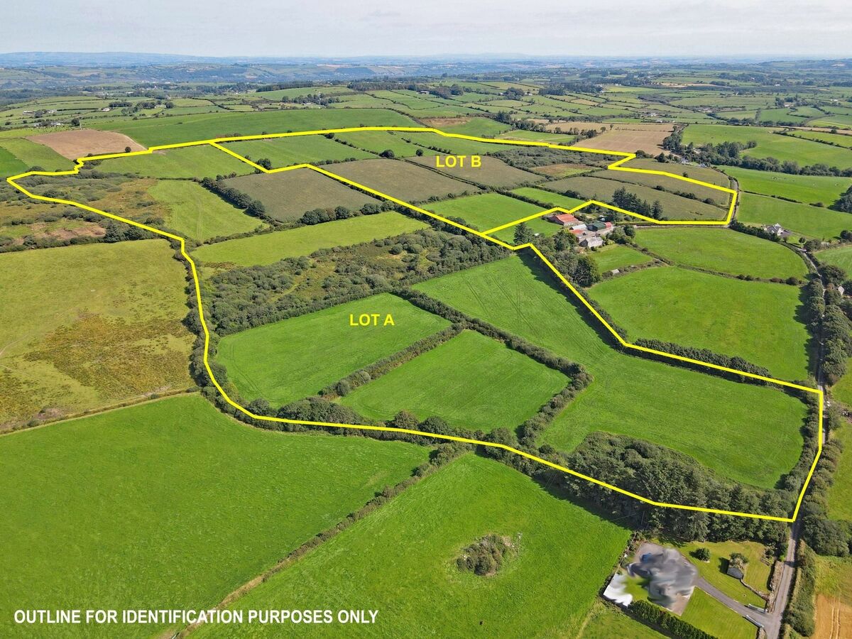 The owners are open to selling the farm in lots: Lot A (47.2 acres); Lot B (57.1 acres); Lot C (the entire).