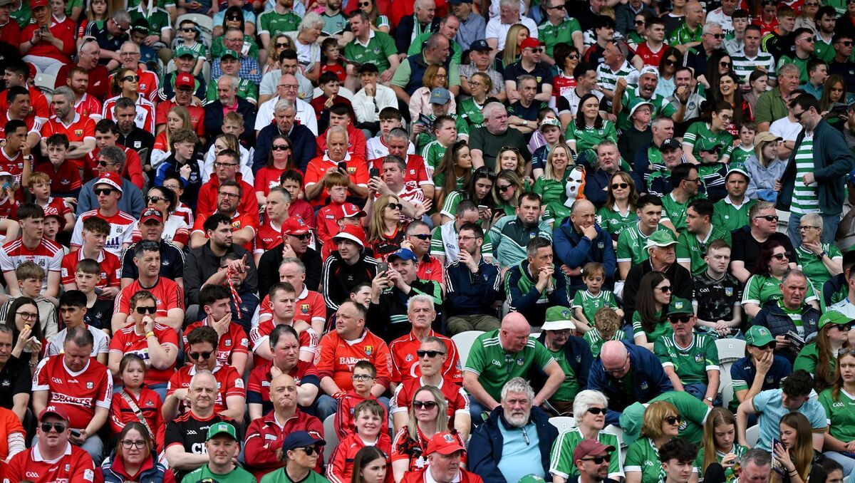 TRUE COLOURS: Cork and Limerick supporters before the GAME. Pic: Ray McManus/Sportsfile