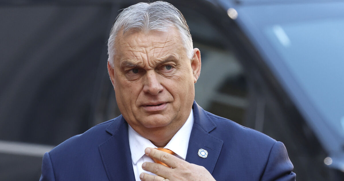 Irish trust of media 'relatively high' but EU press freedom ‘under sustained attack’, report finds