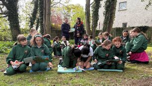 <p>Students and teachers from St. Augustine’s Special Primary School in Stillorgan are presented with the book 'Sitka Spruce – the Amazing Timber Tree' from the Society of Irish Foresters, Irish Timber Council and SEEFA.</p>