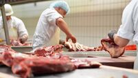 workplace food industry - factory butchery for the production of sausages - butcher cuts meat