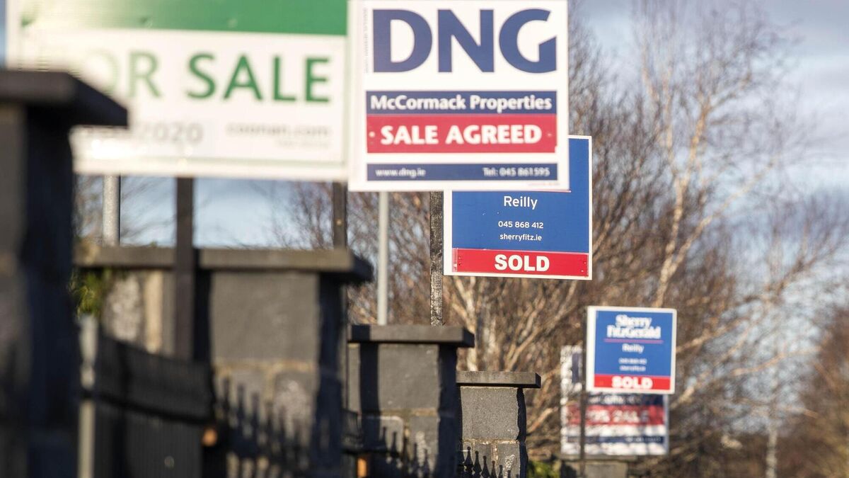 First-time-buyer mortgage drawdowns reach 20-year high