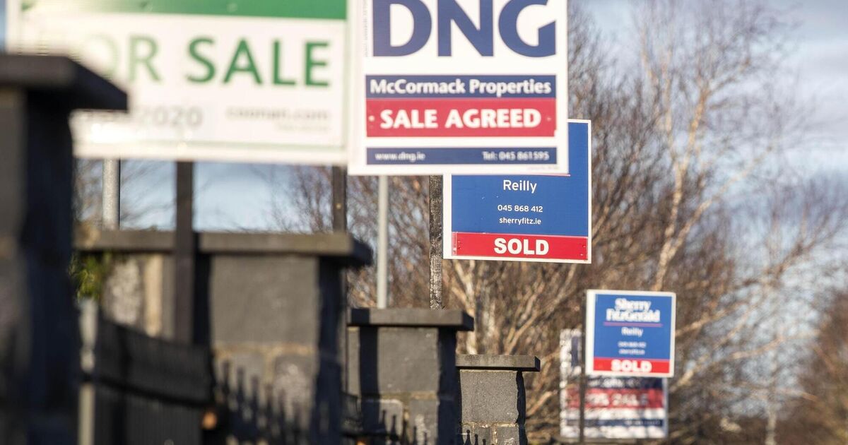 First-time-buyer mortgage drawdowns reach 20-year high