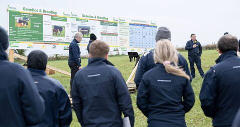 Cattle carcass weights increasing in Newford demonstration farm, report finds