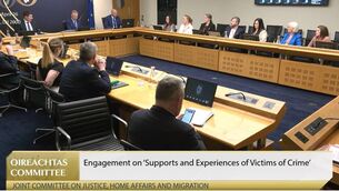 <p>Niamh McGuinness, whose son was murdered, and assault survivor Ruth Maxwell were among those who addressed the joint Oireachtas justice committee today. Picture: Oireachtas TV </p>