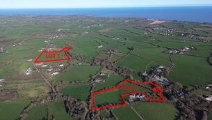 <p>The 18-acre Wexford holding that sold recently at auction.</p>