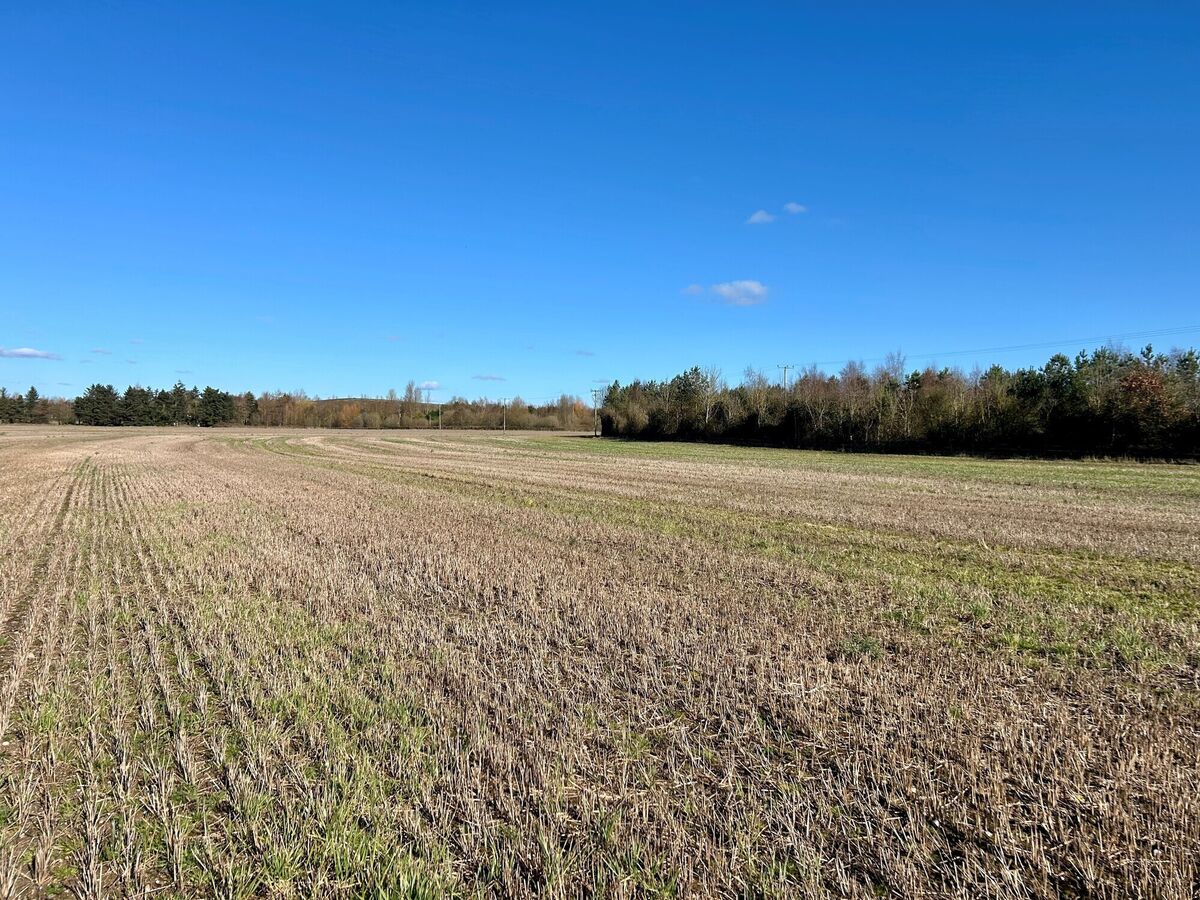 Some of the lands at Blackchurch in Kildare, sold at auction.