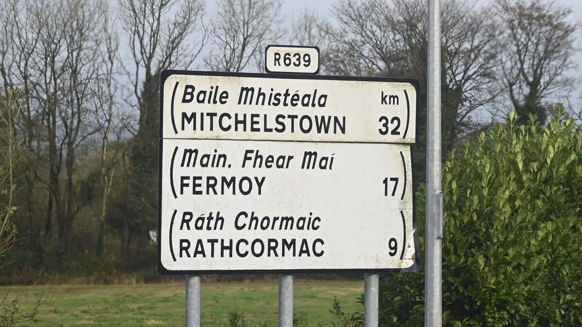 Ireland's small towns growing in population but shrinking in opportunity