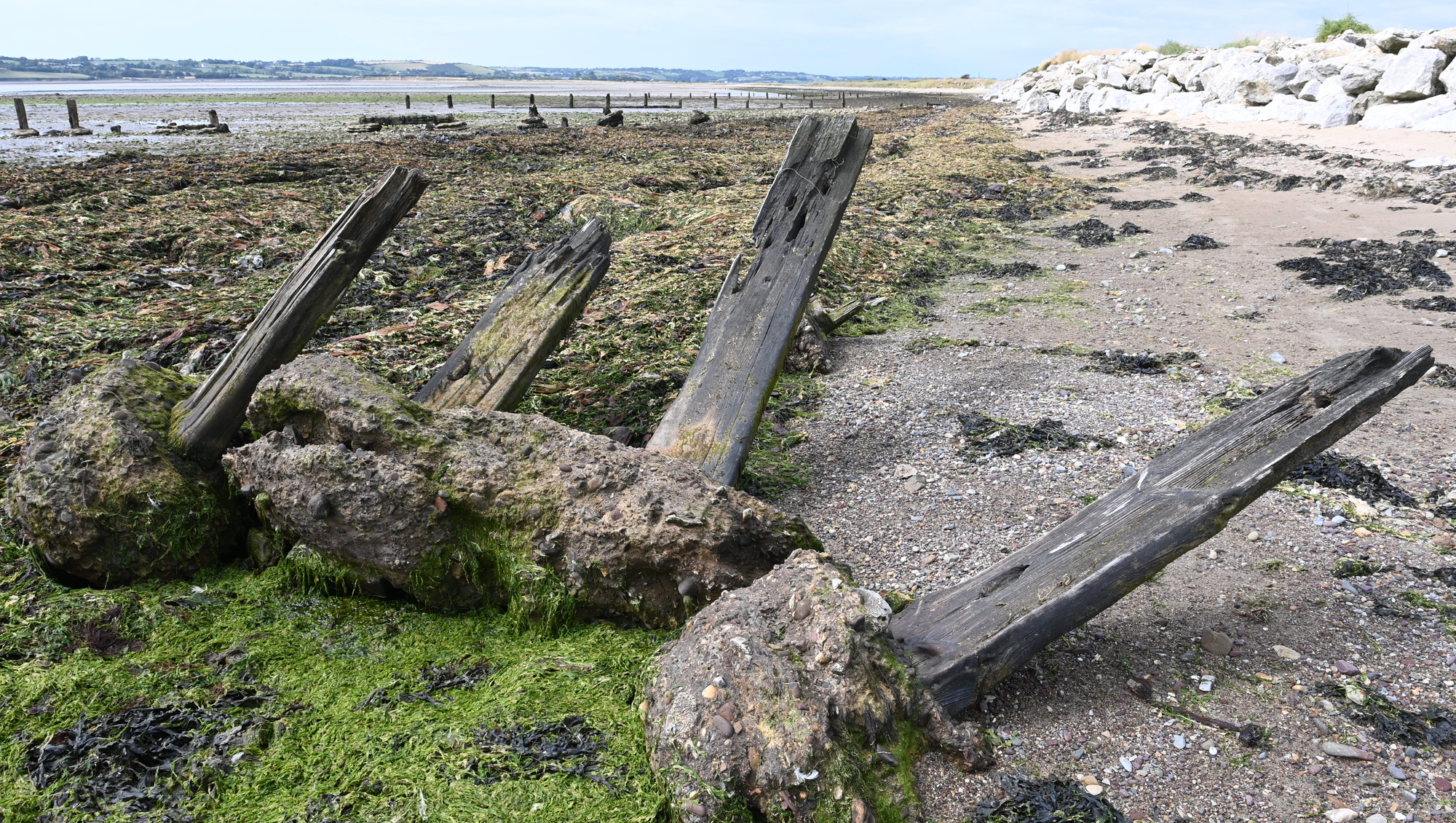  Sean O'Riordan story for Irish Examiner. Wooden groynes were once in position to prevent the movement of sand along the shoreline next to the Pilmore Cottages near Youghal. Residents are seeking coastal protection works. Picture: Larry Cummins