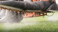 Tractor spraying pesticides on wheat field with sprayer