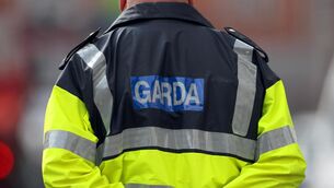 <p>Gardaí have asked anyone who was traveling in the area between 10.45am and 11.15am to contact them.</p>
