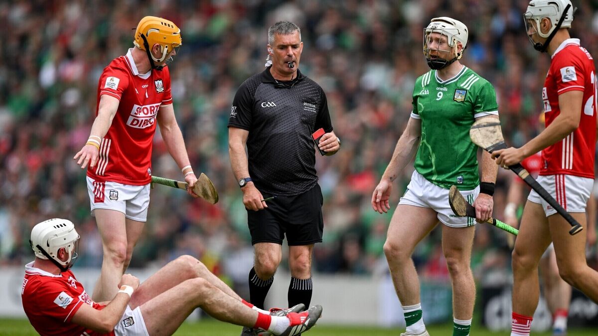 Limerick's Cian Lynch handed one-match ban