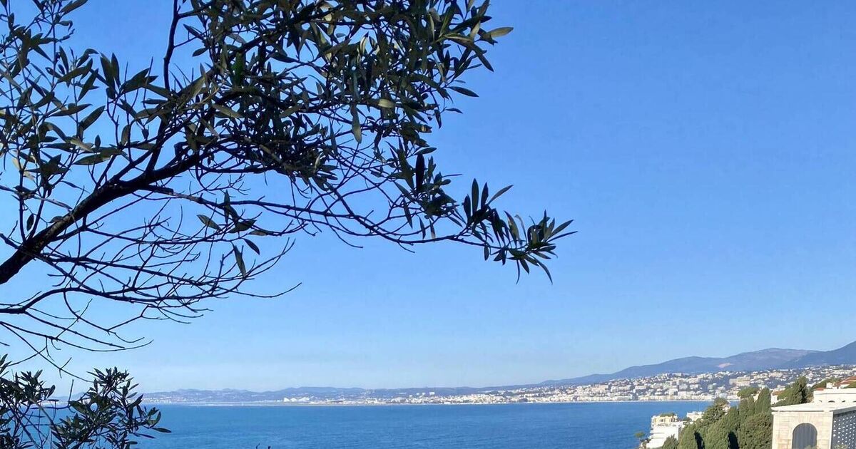 The insider's guide to Nice: How to get around, where to eat, and the beaches that locals actually use