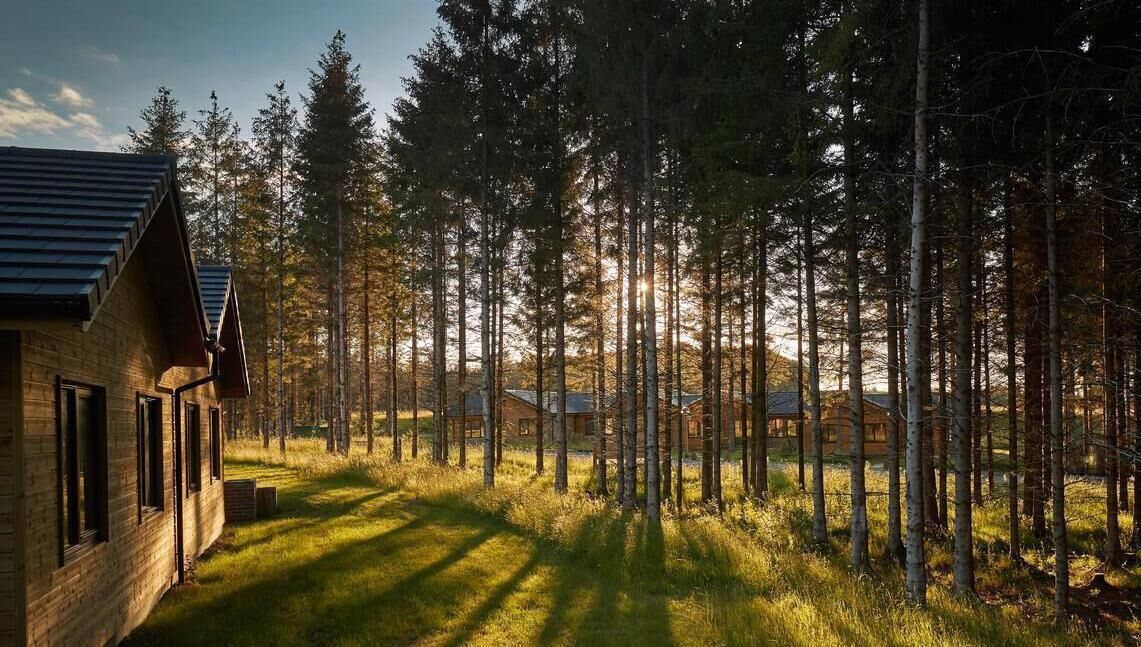 The new lodges in the 400 acres of historic forest can accommodate up to 12 people The new lodges in the 400 acres of historic forest can accommodate up to 12 people