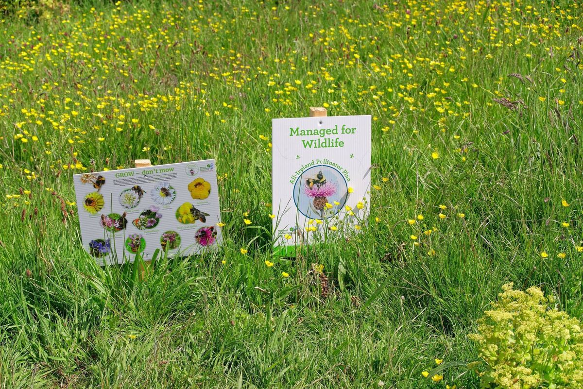 People are often surprised to learn that Ireland ranks 13th from the bottom of countries worldwide in a biodiversity intactness index, but such poor ranking may be expected given that Ireland spends the lowest relative amount among all EU Member States on nature.