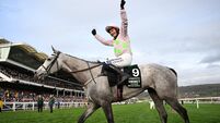 Punchestown preview: Lossiemouth's star to shine bright on Ladies' Day
