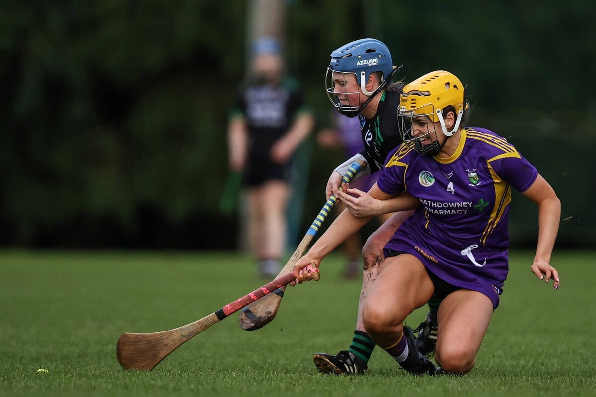 Clanmaurice's Laura Collins and Aoife Carroll of St Brigid's battling for possession.