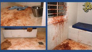 <p>Photos taken after a violent incident in Cork Prison. </p>
