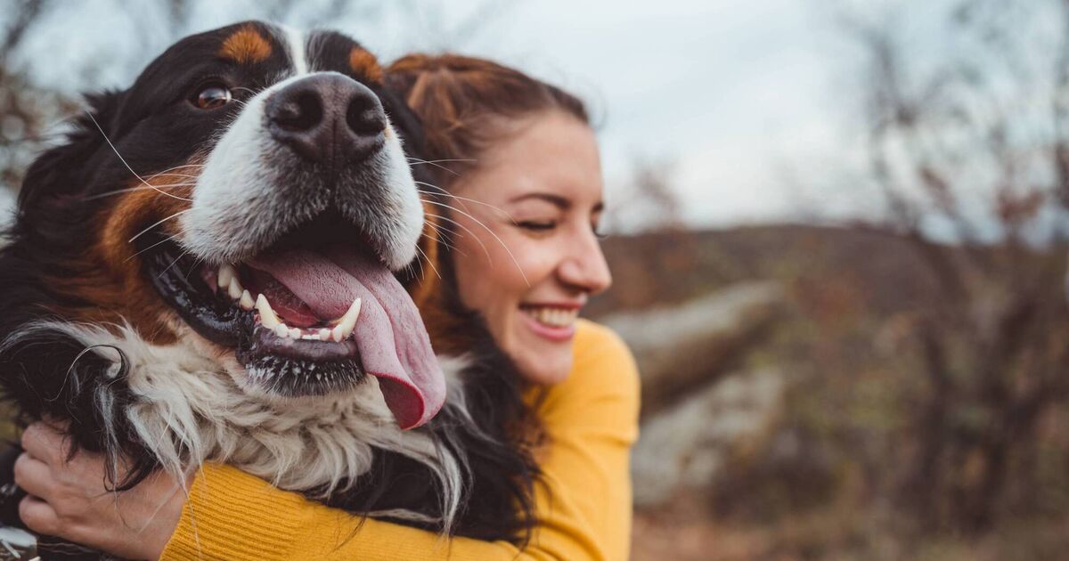 How your dog keeps your health on the right track