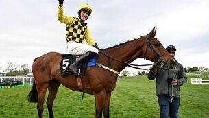 <p>Salvator Mundi and Harry Cobden won the Barberstown Castle Novice Steeplechase (Grade 1). Pic: Healy Racing Photo</p>