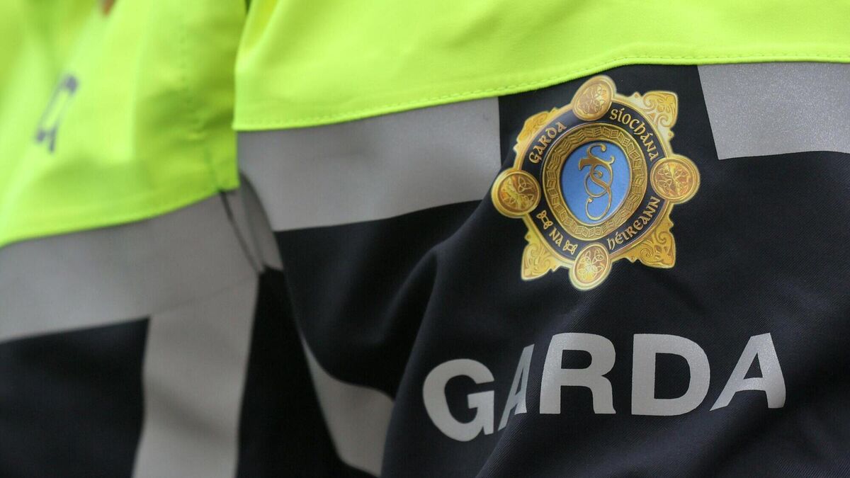 Nearly 200 new gardaí attested as force numbers continue to grow
