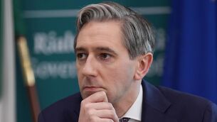 <p>Tanaiste and Finance Minister Simon Harris </p>