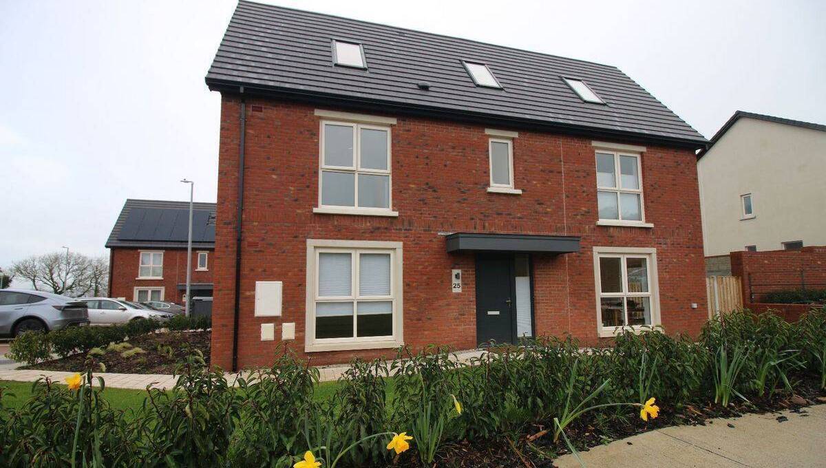 Cue another chance to buy in Bayly