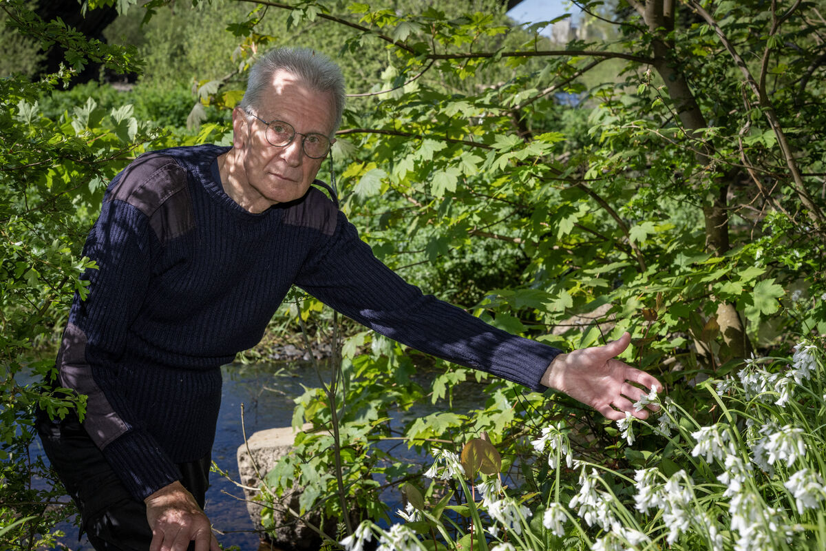 John Lavery. Photo: Domnick Walsh © Eye Focus LTD