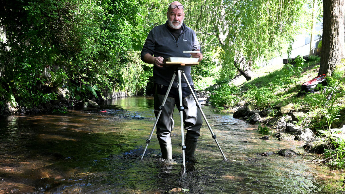 Rivers of Munster: River Bride brings wildlife 'right up into Cork village'