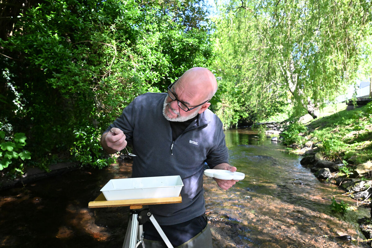  Citizen science water sampling...Chris Moody in the River Bride, beside Orchard Court in Blackpool, Cork. Picture: Larry Cummins