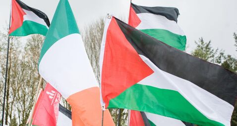 Palestine and Ireland flags at US military out of Shannon