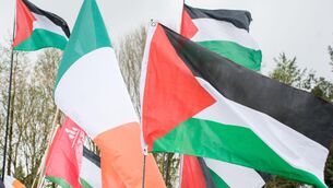 <p>Irish activists were among those taken during Israel’s interception of a flotilla carrying aid for Gaza (Alamy/PA)</p>