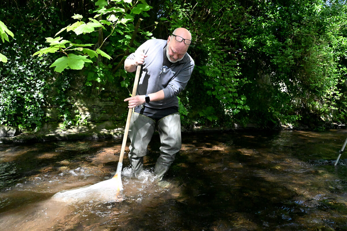 Chris Moody, a long-time campaigner for the Bride’s environment and part of the community group Save Our Bride Otters, points out that a general lack of visibility is no help to the river’s advocates. Picture: Larry Cummins