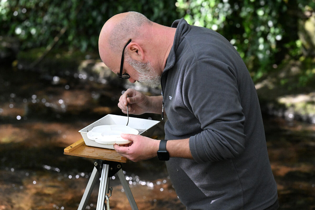 Chris Moody describes the river as 'a crucial wildlife movement corridor'. Picture: Larry Cummins