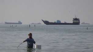 A man stands in the water, appearing to fish, as bulk carriers, cargo ships, and service vessels line the horizon in the Strait of Hormuz off Bandar Abbas, Iran (Razieh Poudat/AP)