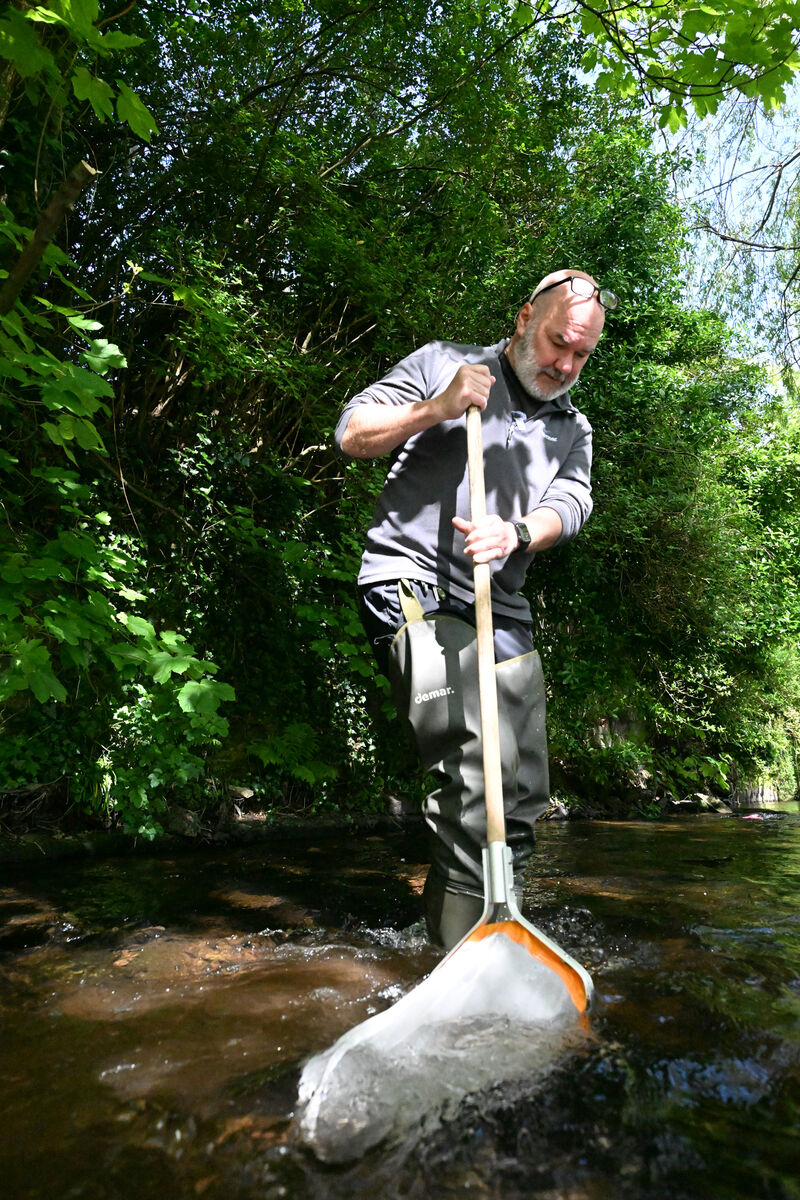 Chris Moody: 'If I could tackle anything it’d be the litter.' Picture: Larry Cummins