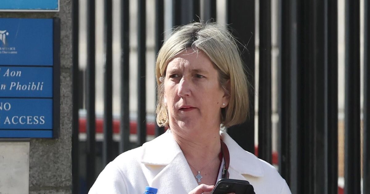 Irish Examiner defamation case: 'Incorrect' to suggest committee dictated investigation findings 