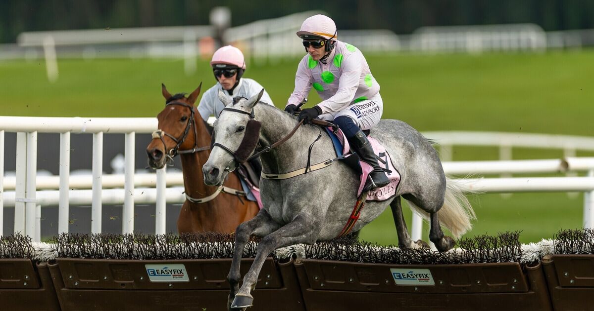 'Dynamite' Lossiemouth caps dream season with Punchestown Champion Hurdle win