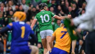 <p>Gearoid Hegarty celebrates his goal against Clare. Pic: Ray McManus/Sportsfile</p>