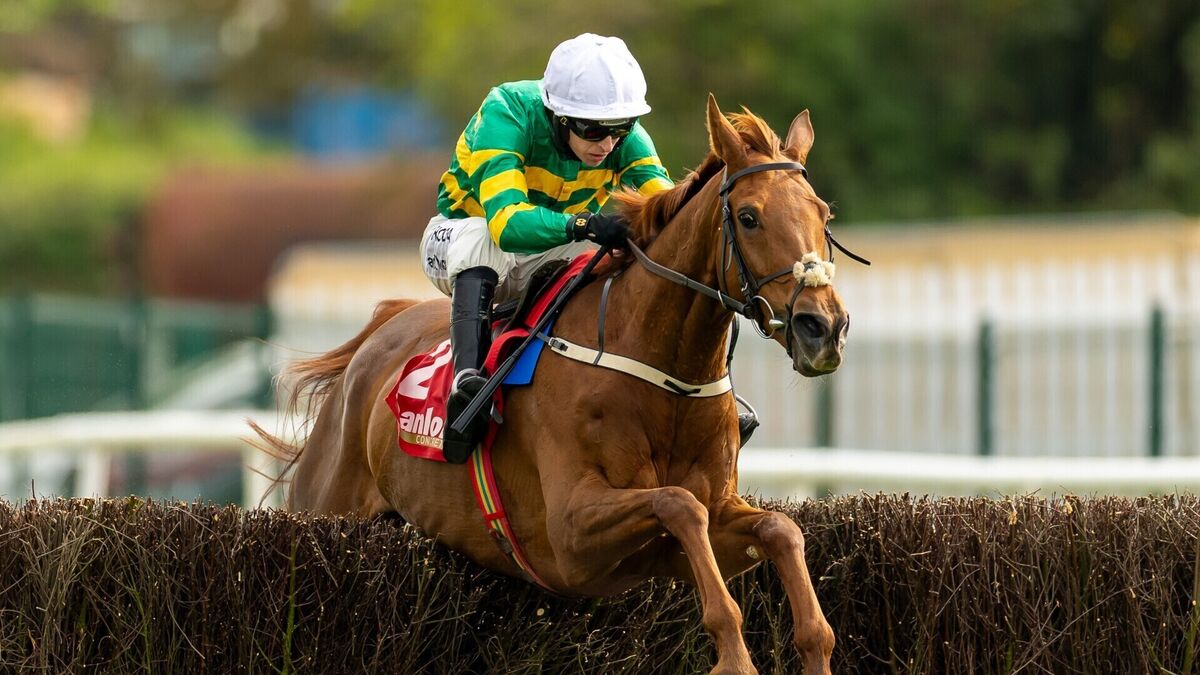 Dinoblue delivers again as Mark Walsh claims 900th winner