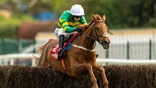 <p>Mark Walsh on Dinoblue wins The Hanlon Concrete Irish EBF Glencarraig Lady Francis Flood Mares Steeplechase (Grade 2). Pic: ©INPHO/Morgan Treacy</p>