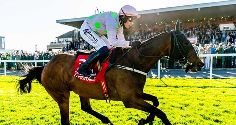 Paul Townend celebrates winning the Ladbrokes Punchestown Gold Cup with Gaelic Warrior 29/4/2026