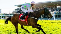 Paul Townend celebrates winning the Ladbrokes Punchestown Gold Cup with Gaelic Warrior 29/4/2026