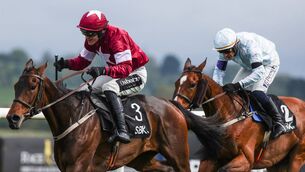 <p>Danny Mullins onboard Place De La Nation comes home to win the SBK Irish EBF Mares Champion Hurdle at Punchestown. Pic ©INPHO/Tom Maher</p>